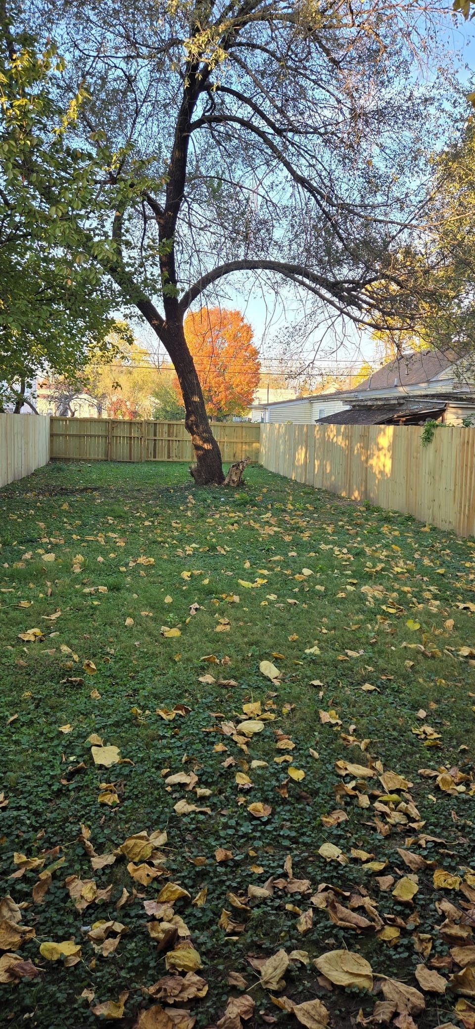 Property grounds