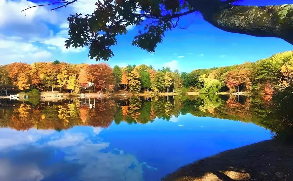 Gorgeous fall colors on the lake!