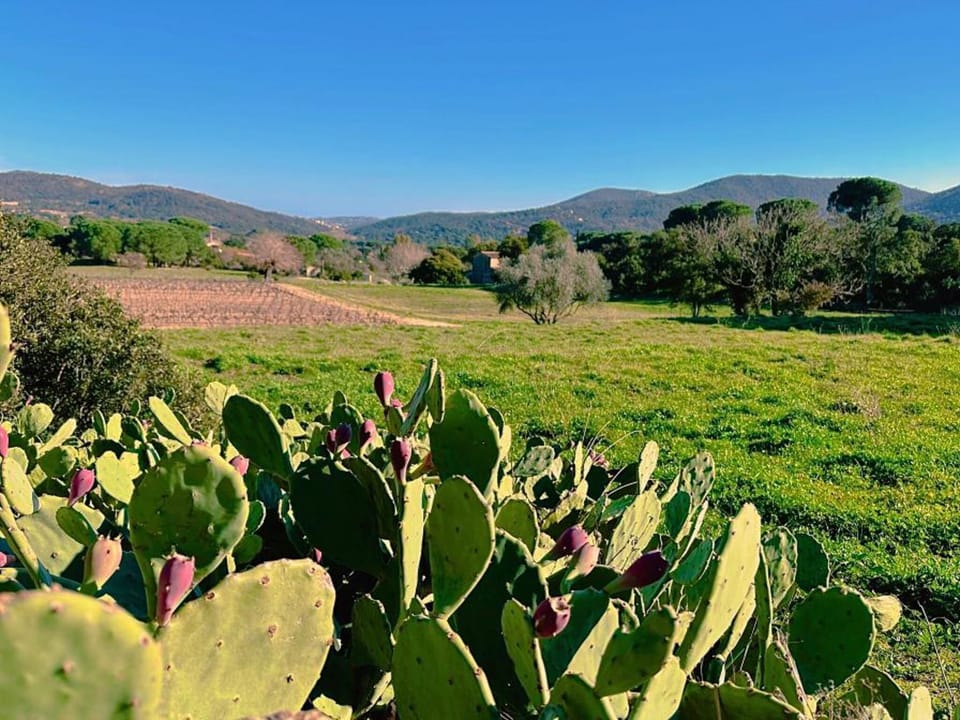 Surroundings [summer] (1-5 km)