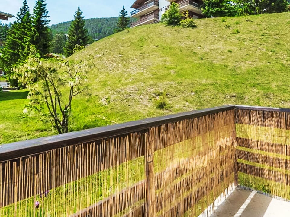 Plant, Green, Nature, Leaf, Fence, Natural Landscape, Wood, Tree, Land Lot, Vegetation