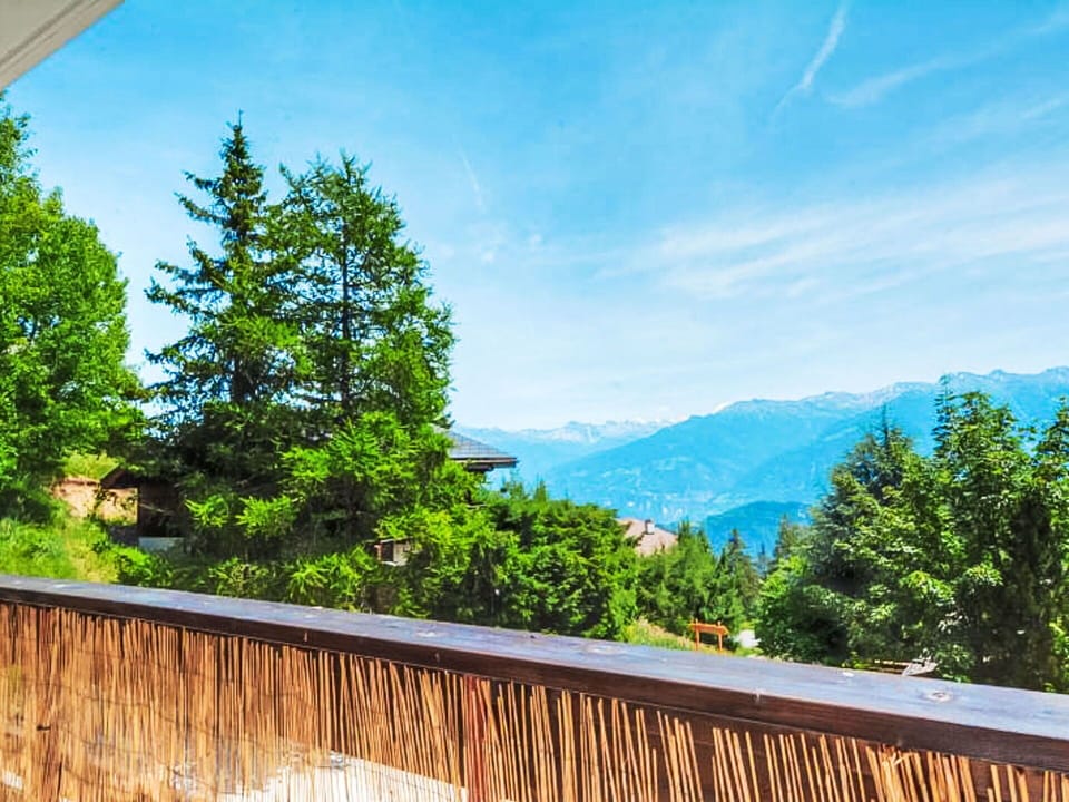 Cloud, Sky, Daytime, Azure, Leaf, Natural Environment, Natural Landscape, Wood, Branch, Tree