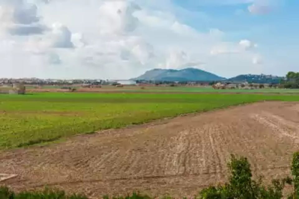 Immediate Surroundings [summer] (<1 km)