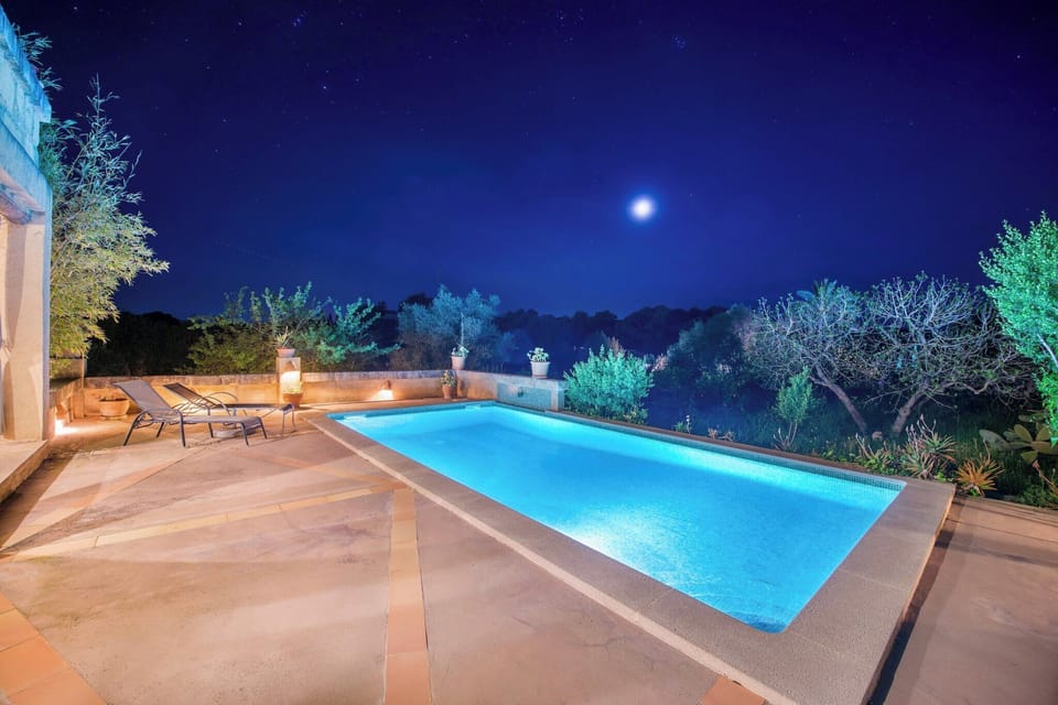 Holiday Home Swimming Pool