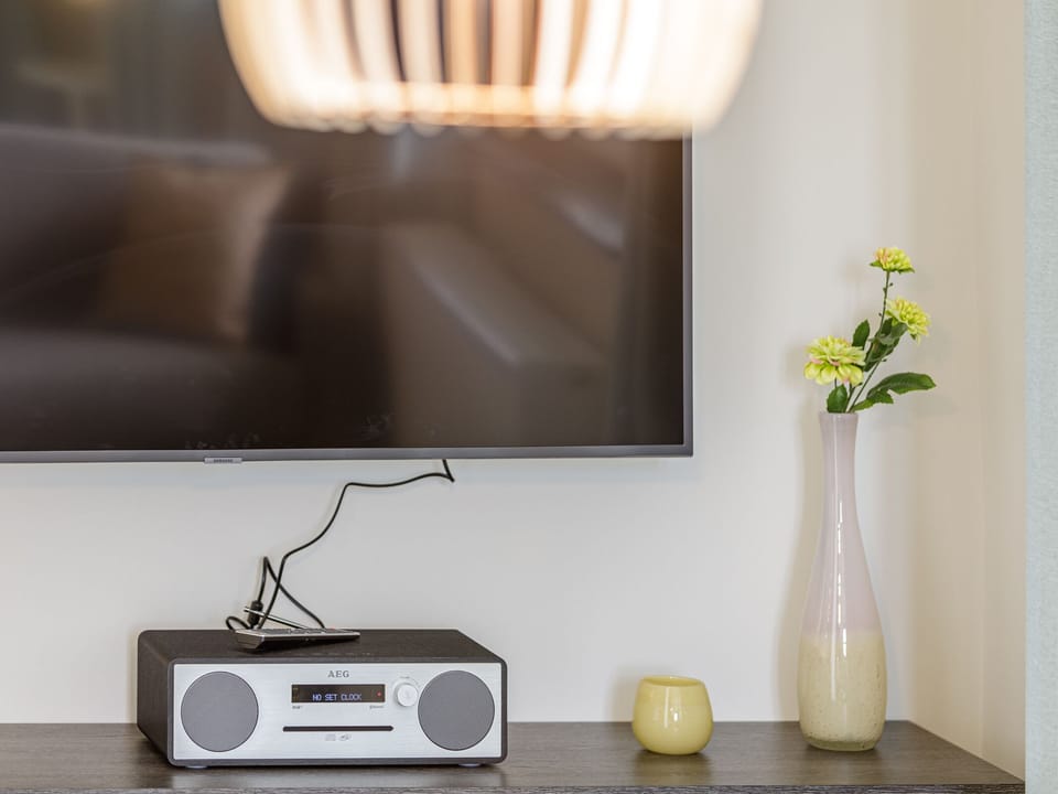 Television