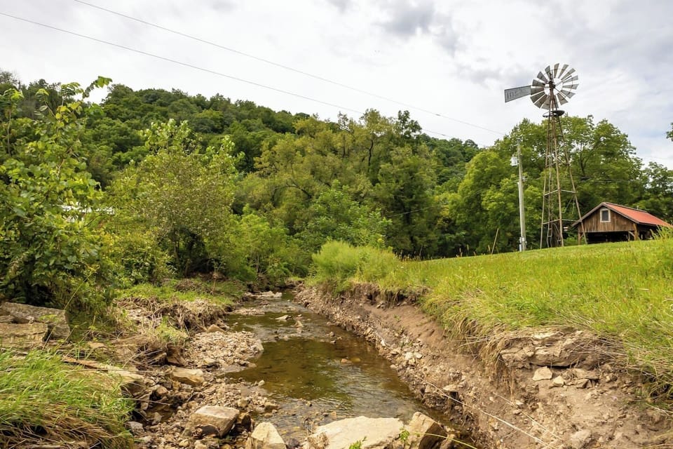  Spacious Yard & Creek: Relax, play yard games, or enjoy peaceful creekside views