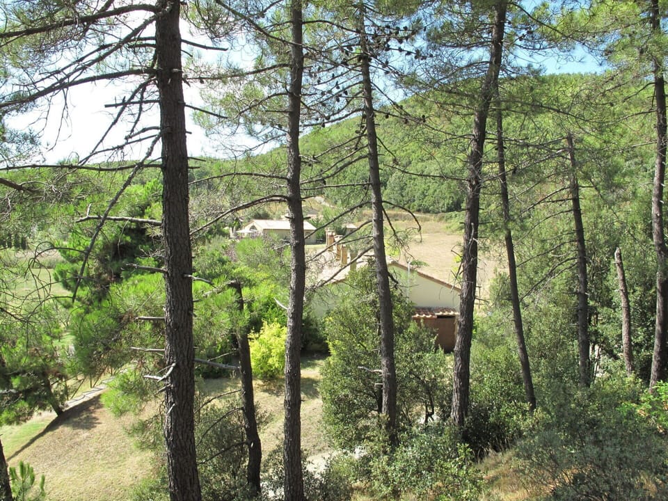 Water, Plant, Daytime, Property, Building, Swimming Pool, Azure, Tree, Sky, Architecture