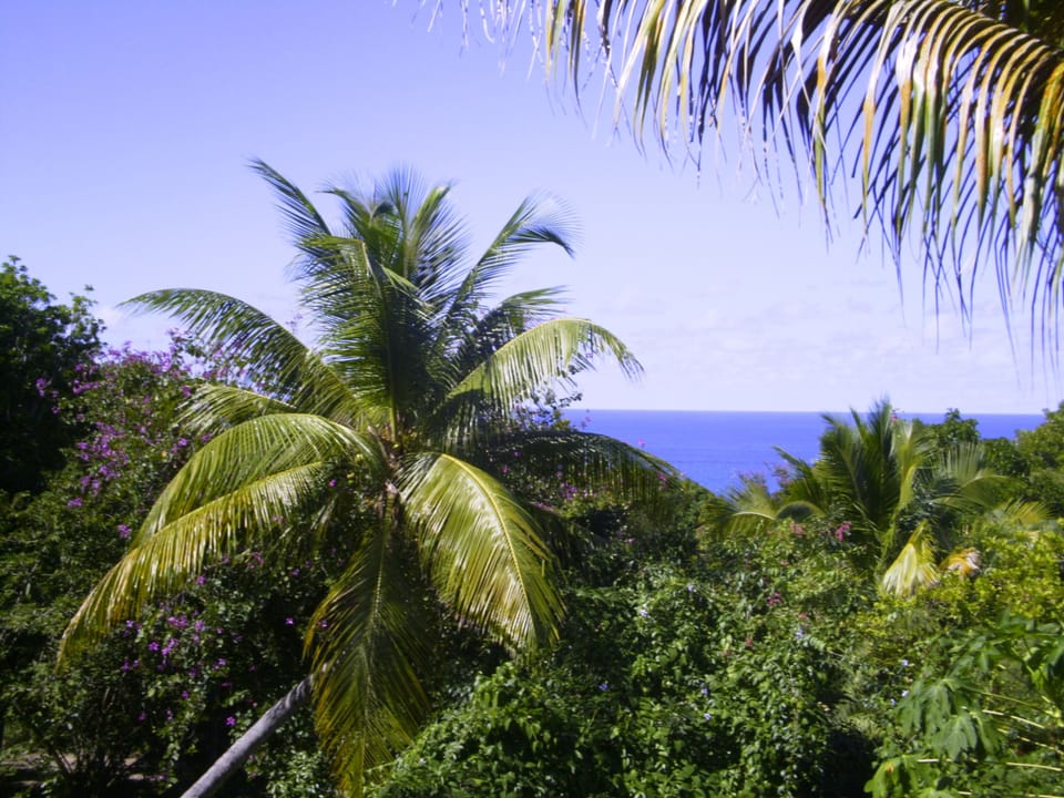 View of the Caribbean Sea and our lush property from the private deck/patio. 