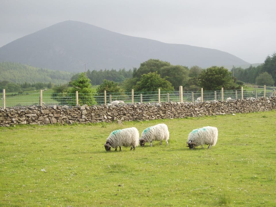 Peaceful Mournes