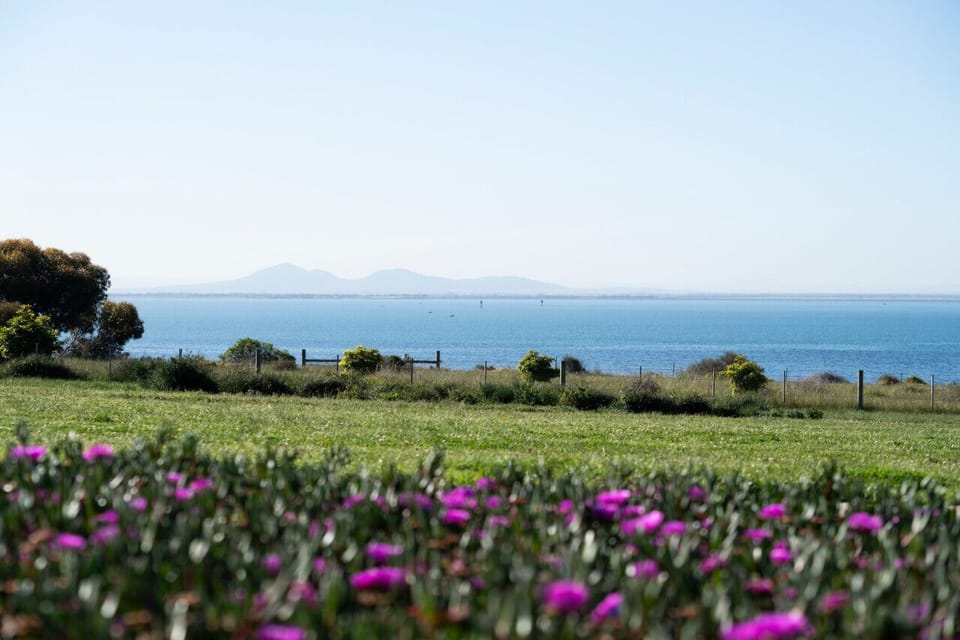 View from the property