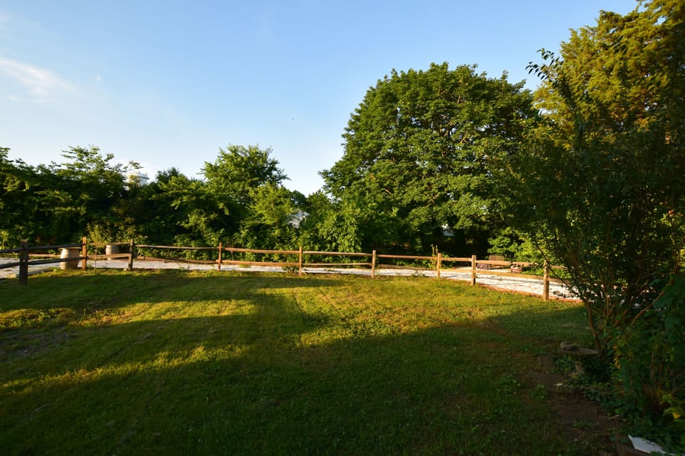 Back yard