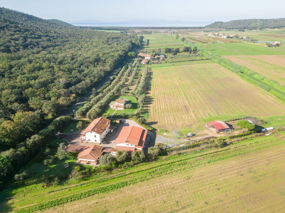 Aerial photography
