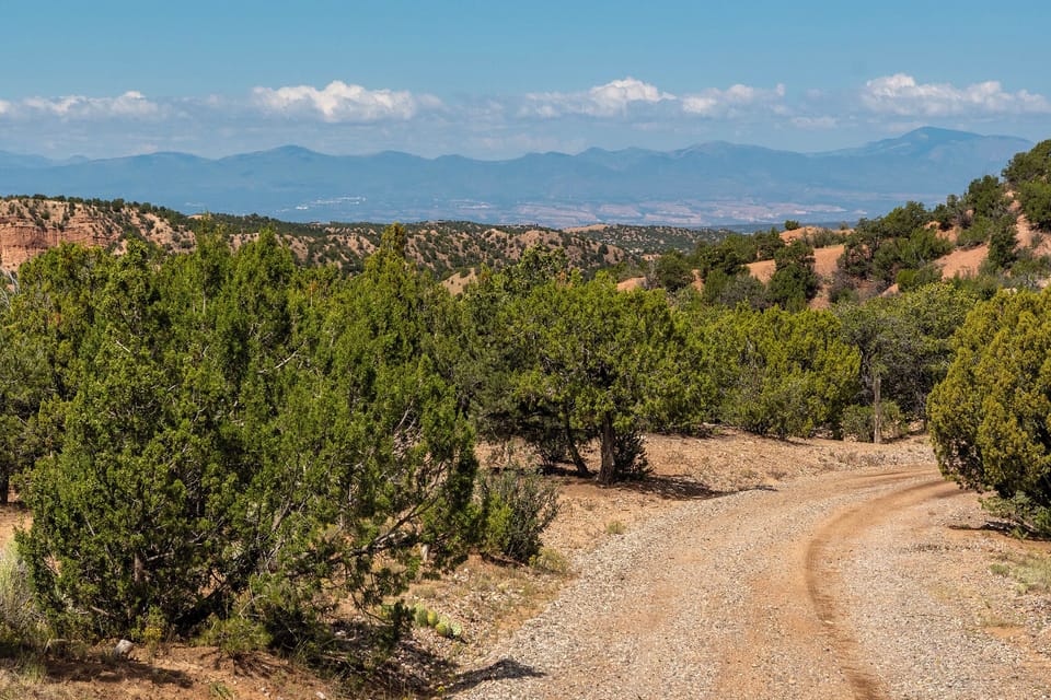 Views from Entry Driveway