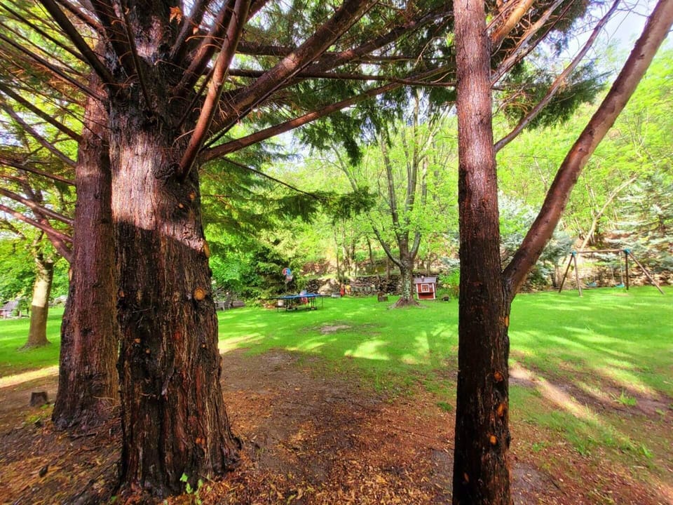 Le parc