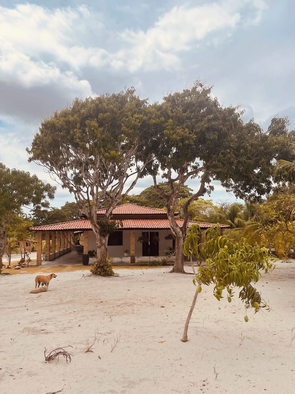 Exterior