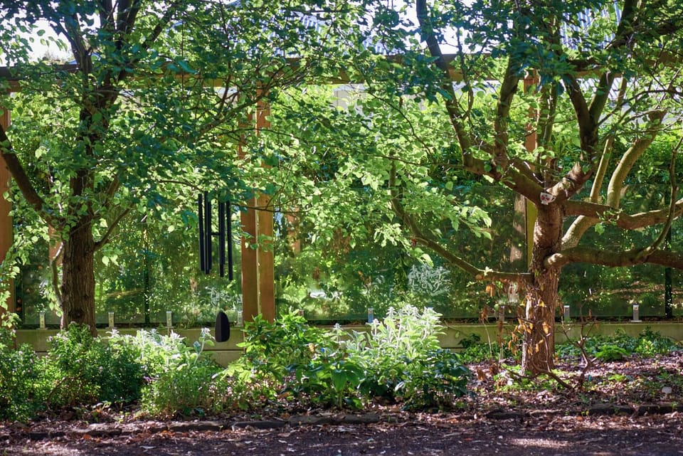 Luxurious trees and flowers for the happy gardener to wander by.