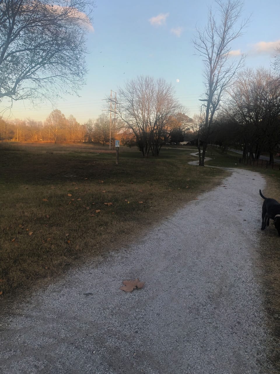 Enjoy taking a stroll around city lake.