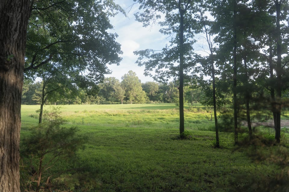 Our guests say, we feel like we're in the country, but still minutes from town!