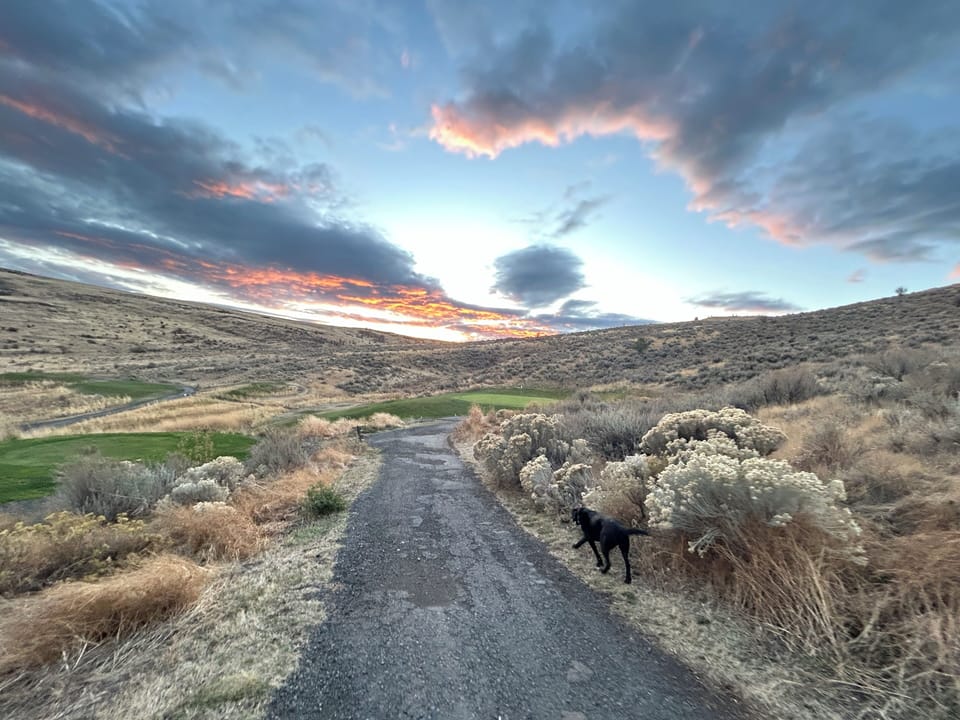 Venture up to Buffalo Peak Golf Course!