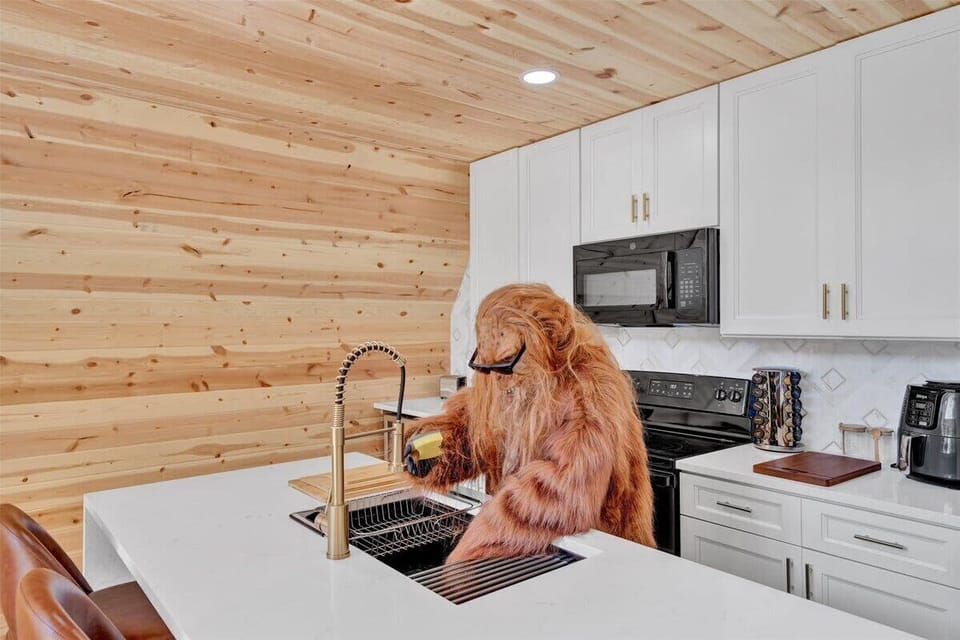 Fully Stocked Modern Kitchen