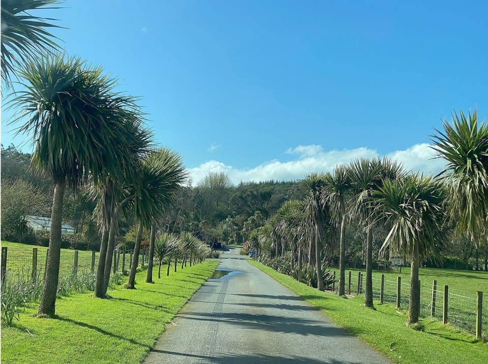 Logan Botanical Gardens. This driveway is free to access