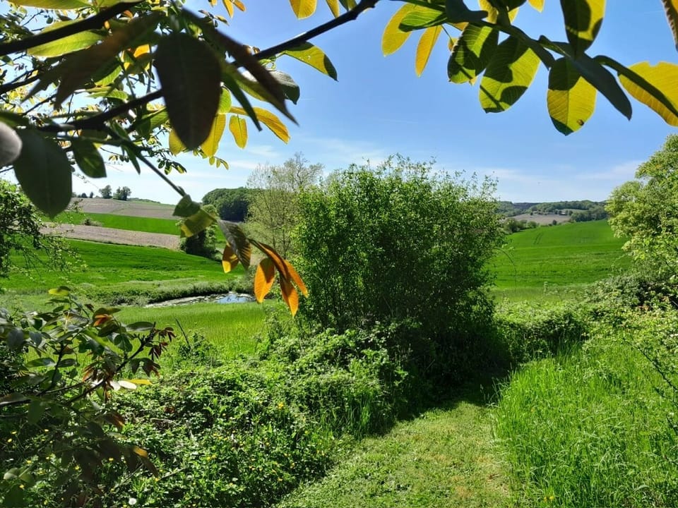 Extensive grounds