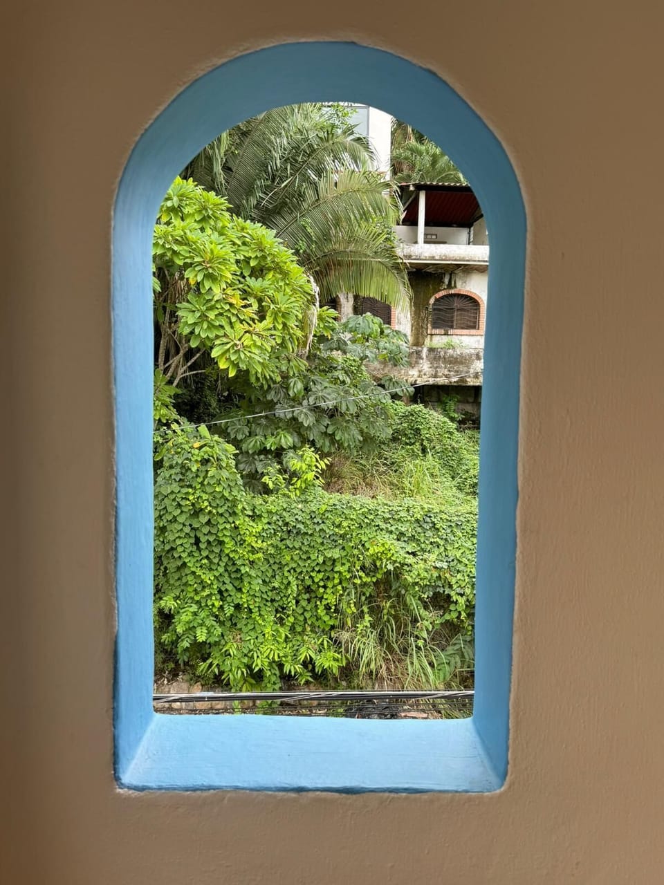 Vista View