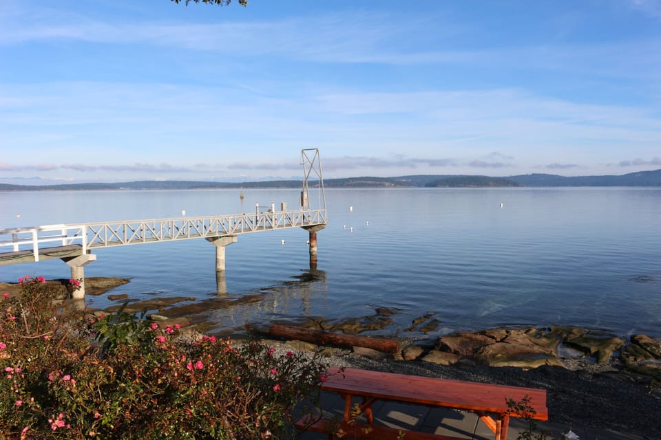 Dock