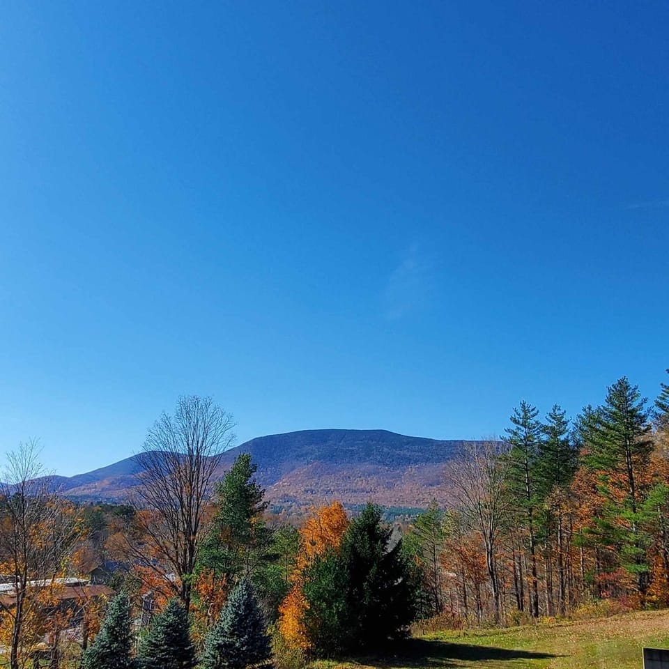 Fall foliage 2024 view from the townhomes.