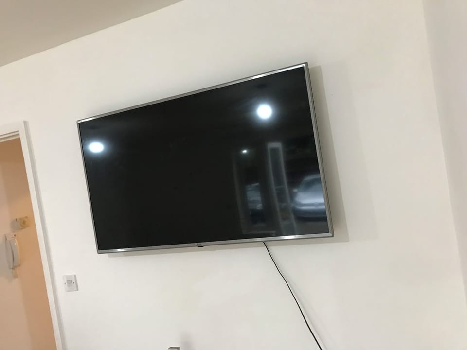 Television