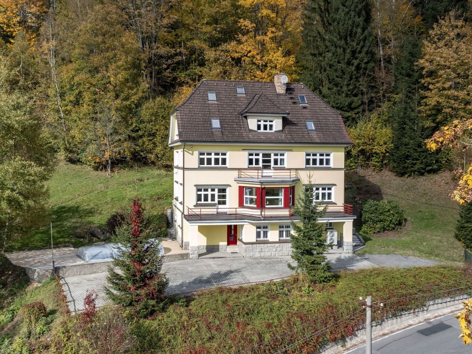 Plant, Building, Window, House, Tree, Yellow, Land Lot, Cottage, Grass, Residential Area