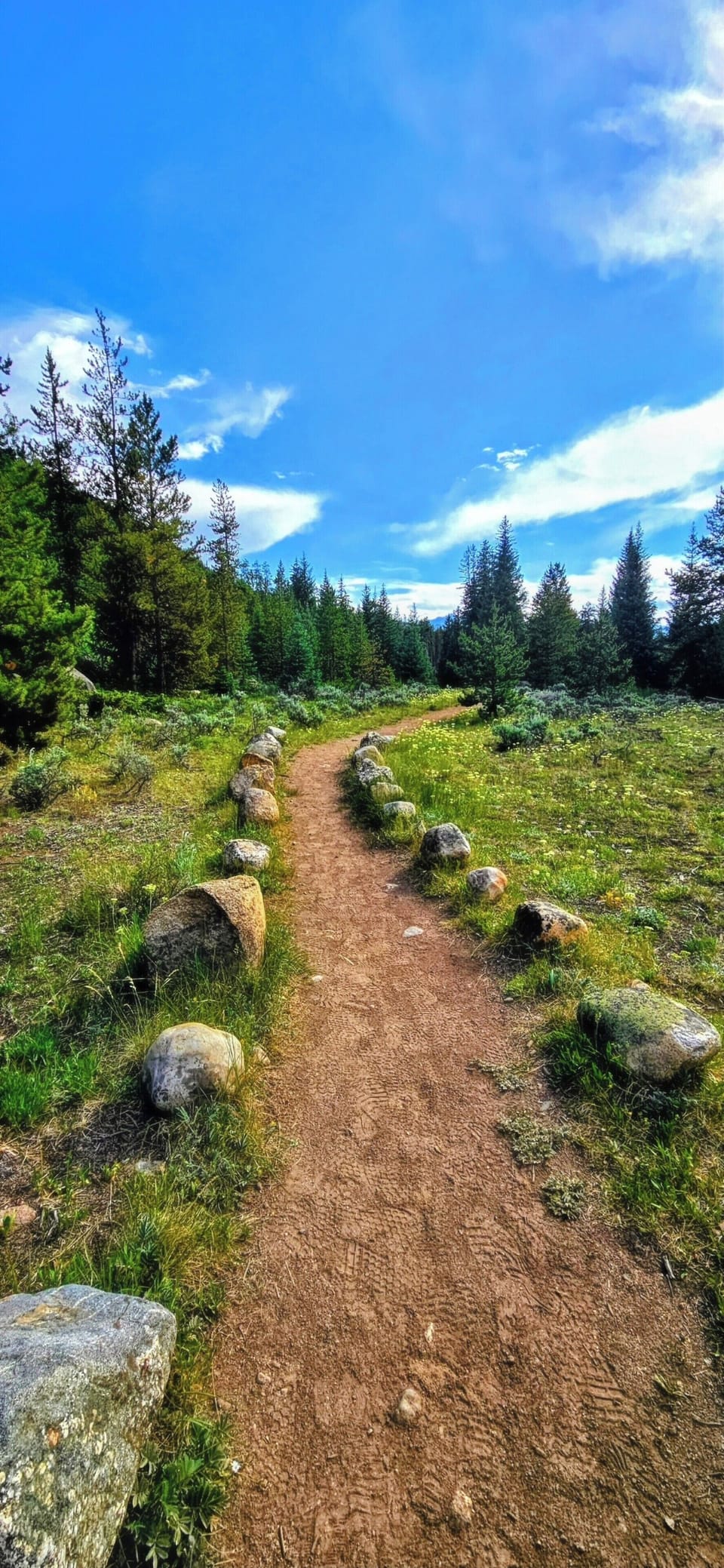 Beautiful walking trails steps from your unit