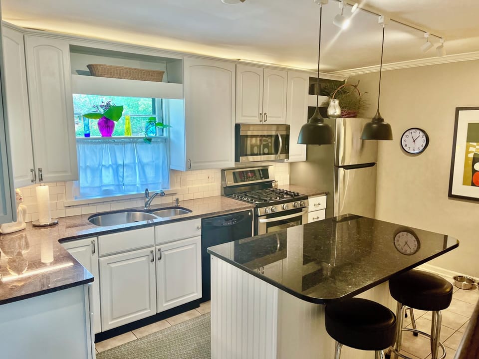 Modern kitchen with new vaulted ceilings/skylights.