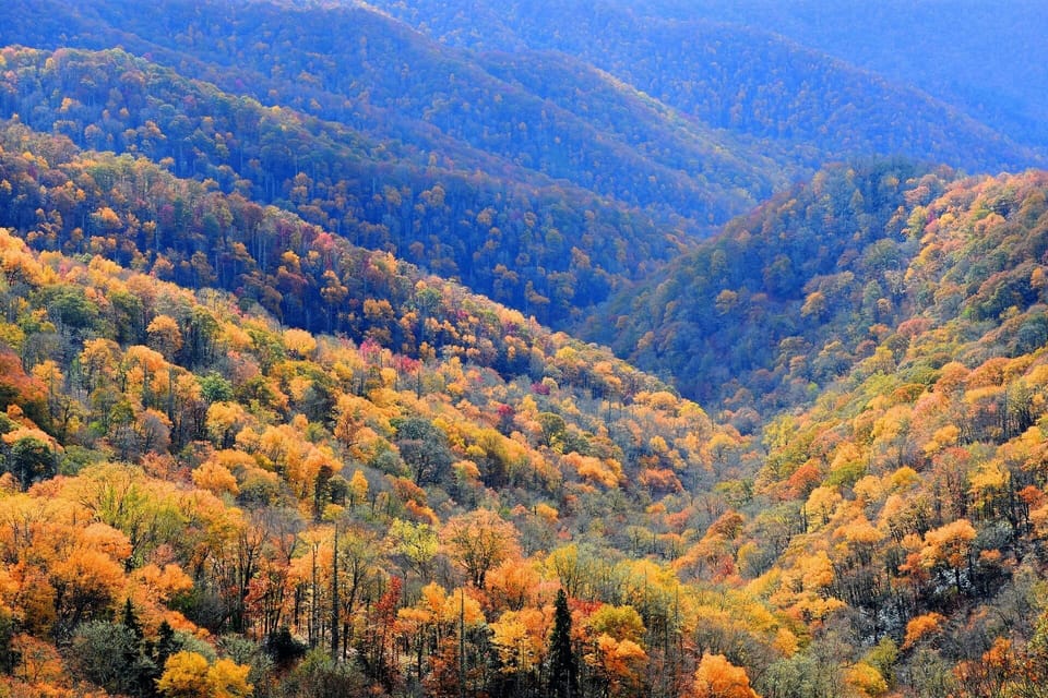 Enjoy peak fall foliage in the Smoky Mountains, close to all attractions.