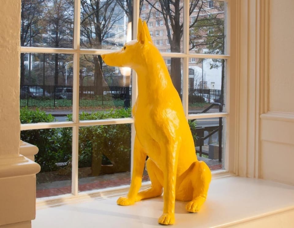 Pause by the sunny window and enjoy whimsical lobby art.