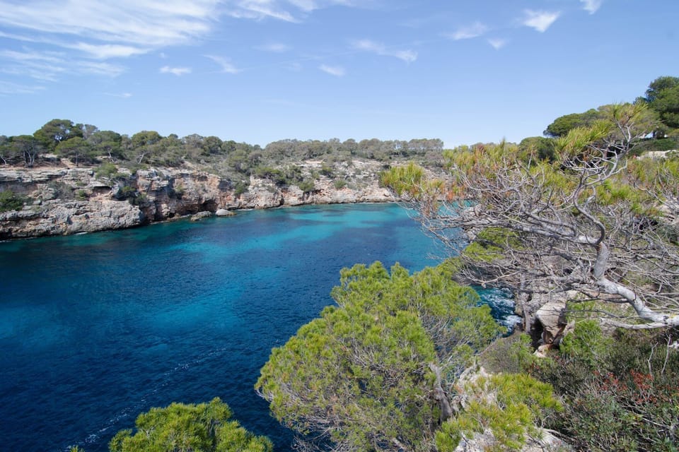 Surroundings [summer] (1-5 km)