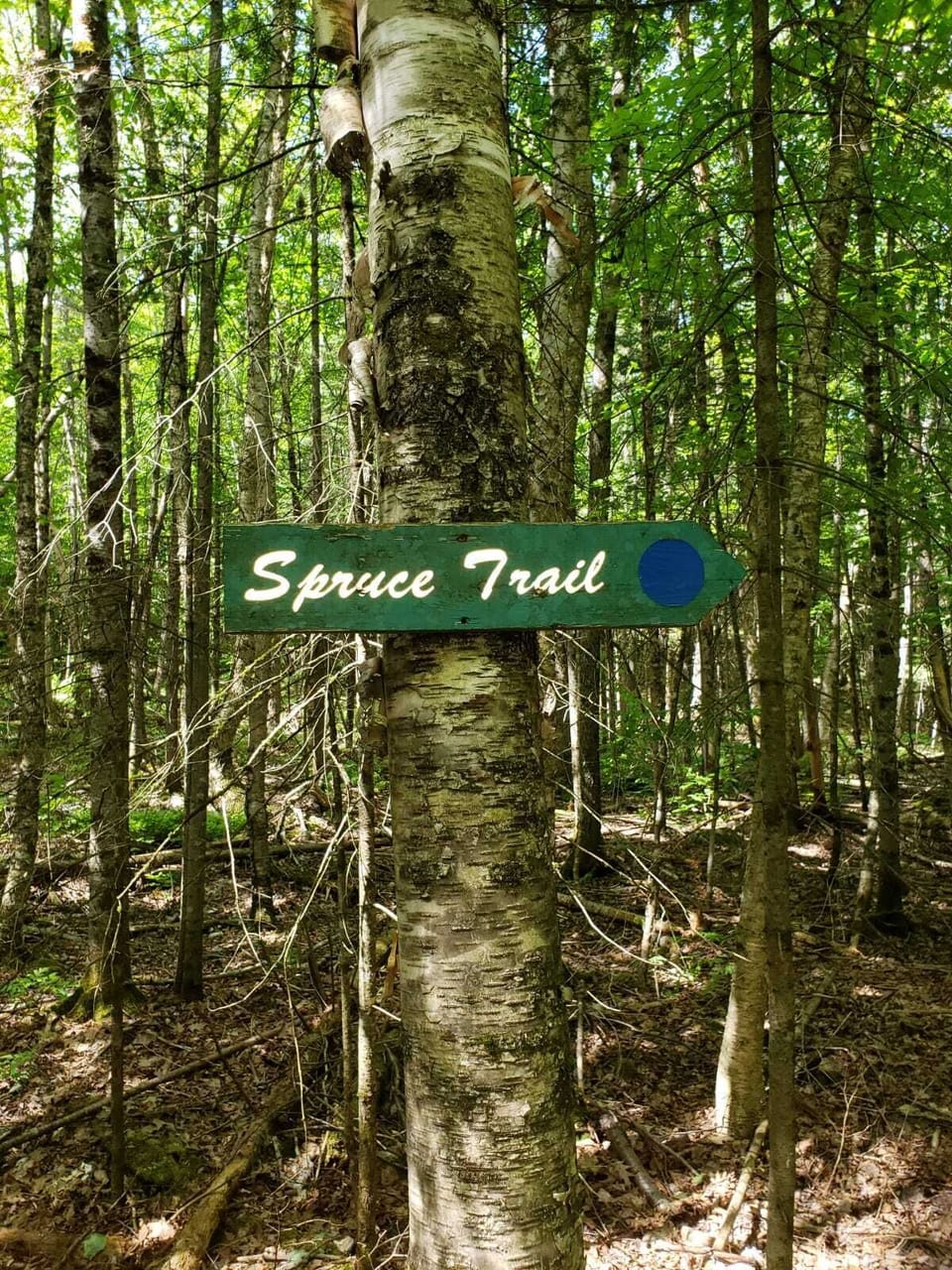 Immerse yourself in the beauty of Muskoka with nature trails.