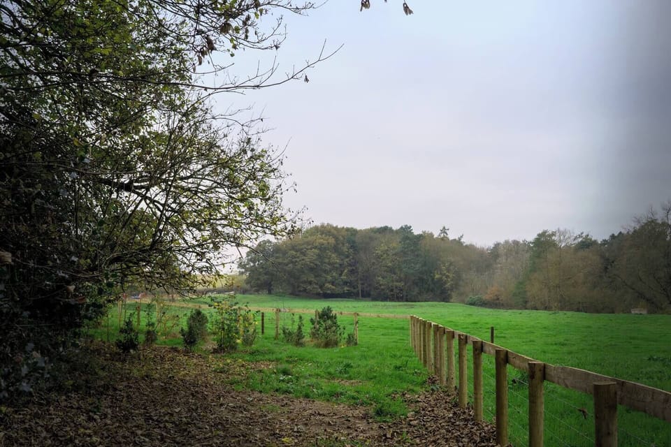 Woodland Greenery Surrounded by open meadows and lush greenery for a nature escape. 