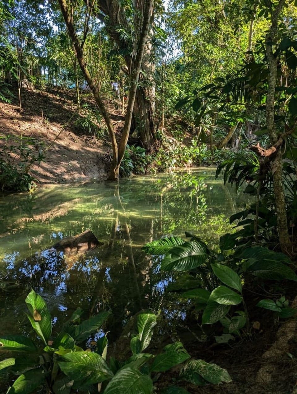 Gorgeous Creek View