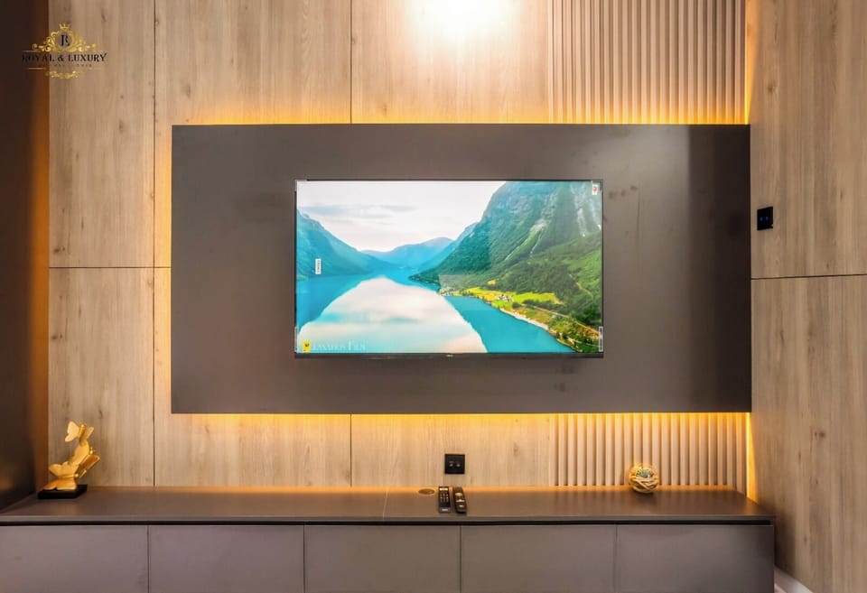 Television