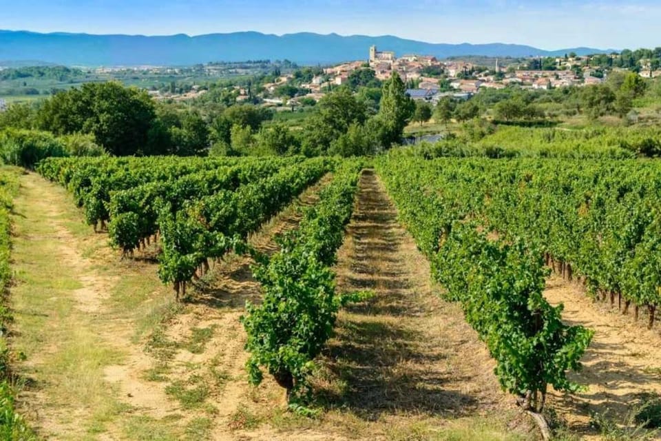 Miscellaneous
