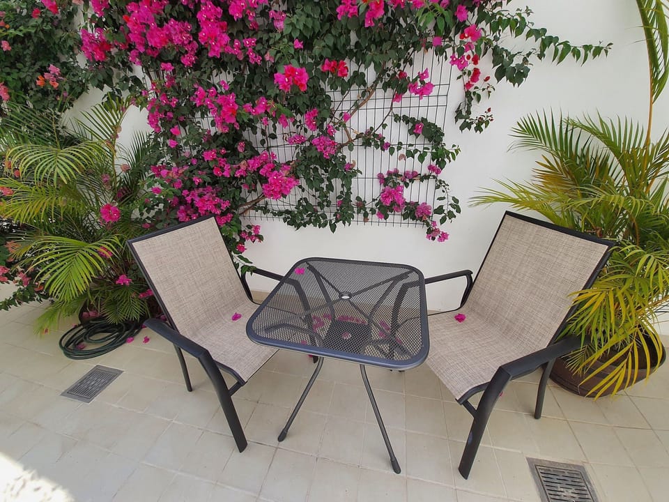 Balcony / Terrace