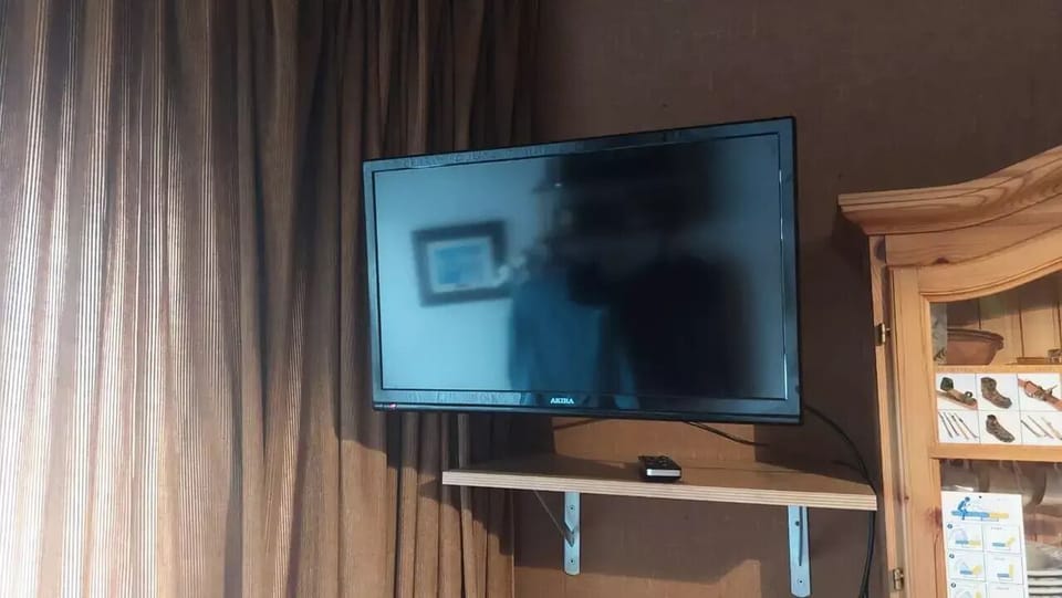 Television