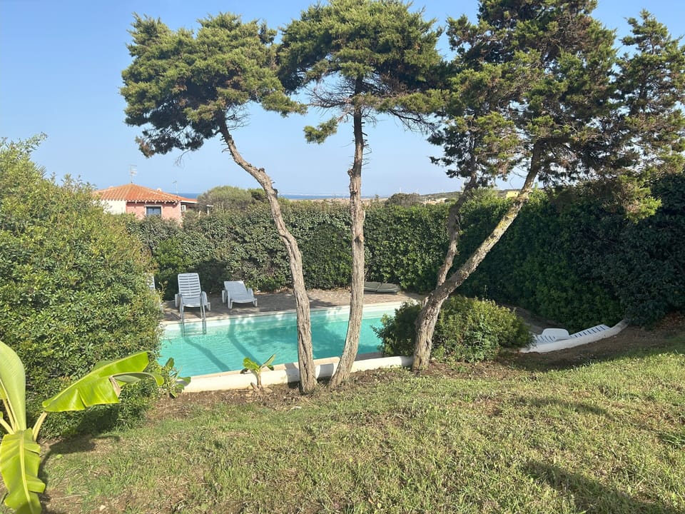 Swimming pool/garden