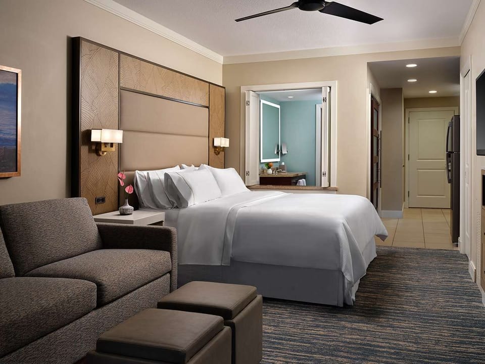 Studio: 1 king bed & 1 Sofa bed