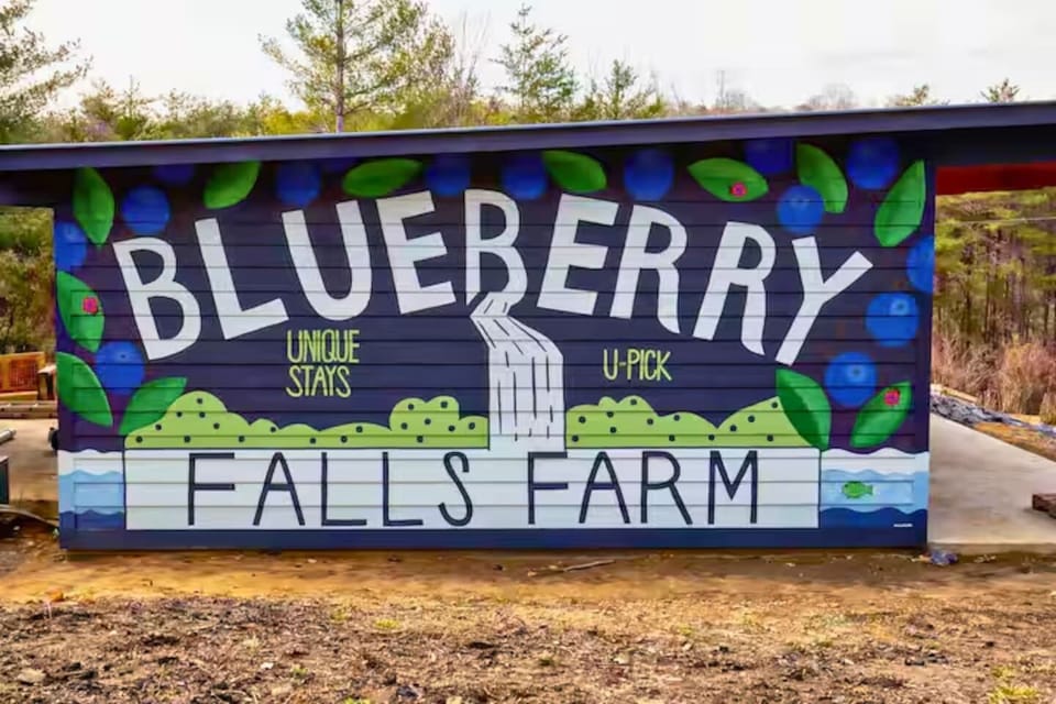 A colorful Blueberry Falls Farm mural welcomes you at the entry of the farm.