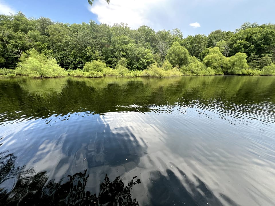 Enjoy this part of the lake in undeveloped solitude