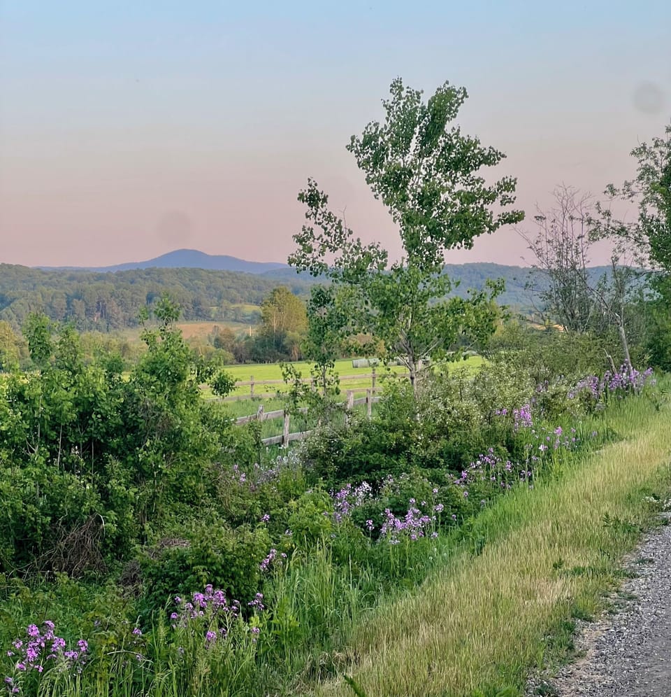 Rail trail in the early evening