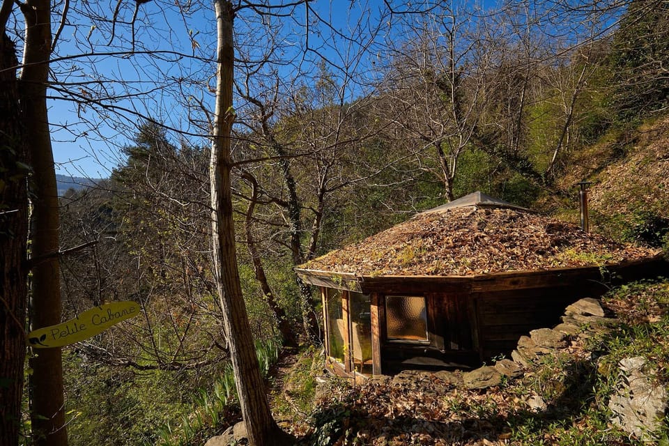 Little Cabin