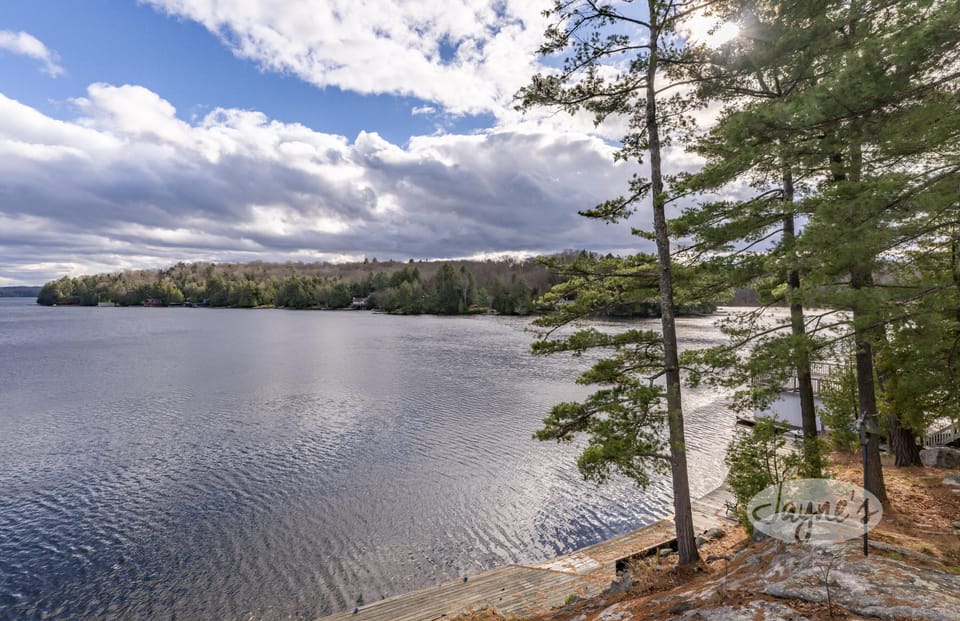Upper Deck Lake View