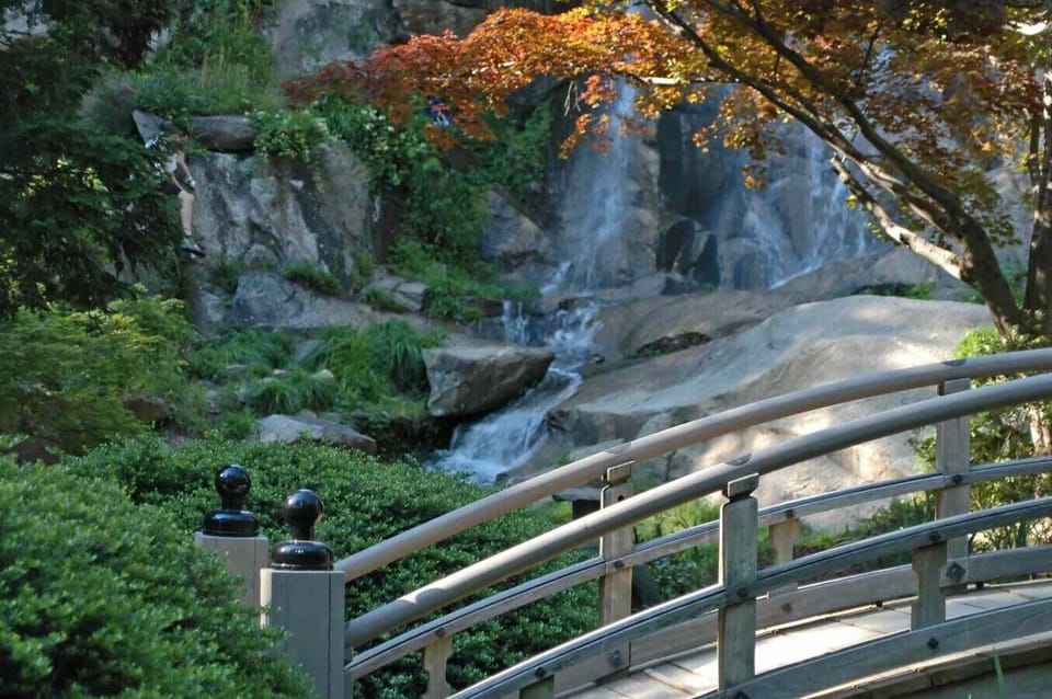 Step into serenity at Maymont—Richmond’s historic estate with lush gardens, roaming wildlife, and timeless charm around every corner.